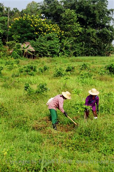 Round trip North Thailand, 2003_1275_28_CH_478